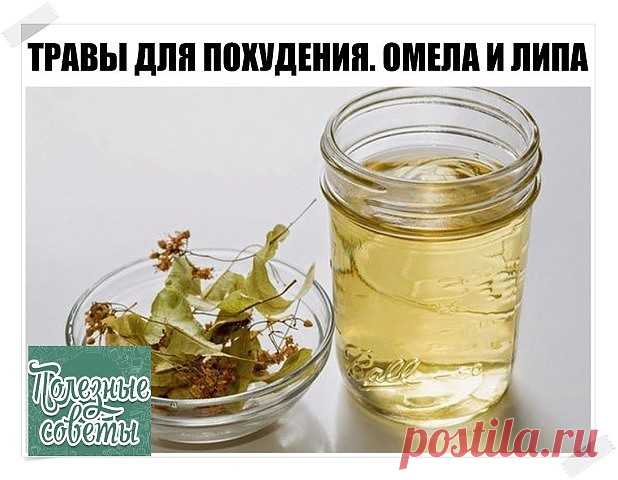 ТРАВЫ ДЛЯ ПОХУДЕНИЯ. ОМЕЛА И ЛИПА

Как говорит Сергей Макеев, доктор народной медицины: За 5 дней сбросить 5кг веса - это не предел.

Есть очень старый и не раз проверенный рецепт:

Берём липу, примерно горсть и заливаем её в термосе одним литром кипятка. И пьём в течение дня когда захочется пить. То есть ничего кроме липы не пьём. Кушаем, что хотим, но умеренно.

На другой день берём Омелу ивную. Это растение от ста заболеваний. Опять же завариваем горсть травы на один ли...