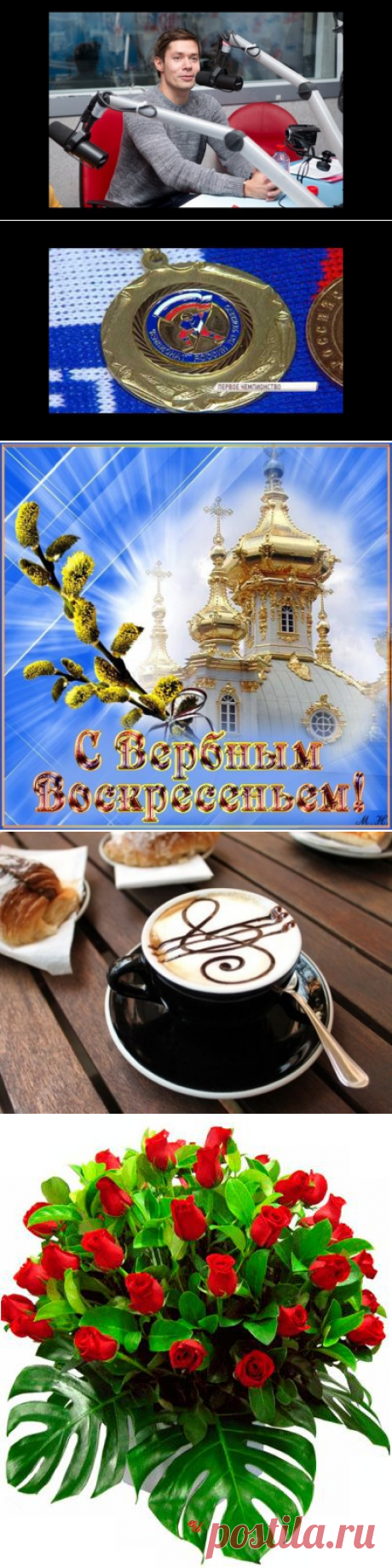 Светлана Болотова