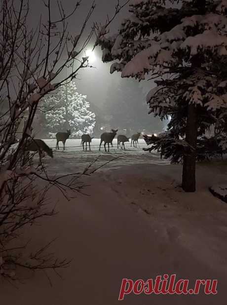 (15) Facebook