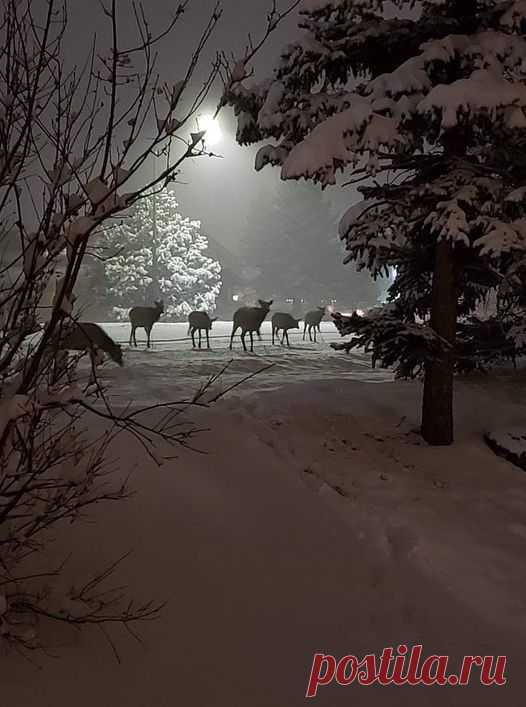 (15) Facebook