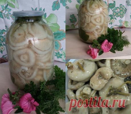 КАК СОЛИТЬ ГРУЗДИ

1. Промойте грибы проточной водой. Если они плохо отмываются, то оставьте их в воде на некоторое время, а затем очистите при помощи ножика или щетки. Удалите ножки.

2. Чтобы грузди не горчили, их нужно вымачивать в воде примерно двое суток. Уложите их в неглубокую емкость шляпками вниз, залейте холодной водой и придавите сверху тяжелой крышкой или большой тарелкой. Меняйте воду два раза в сутки.

3. Помойте стеклянные банки. Вместо чистящего порошка исп...