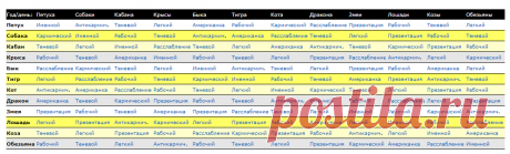Волшебные годы по китайскому гороскопу | Марина Архипова | Дзен