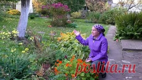 Как обработать сад осенью от болезней и вредителей!