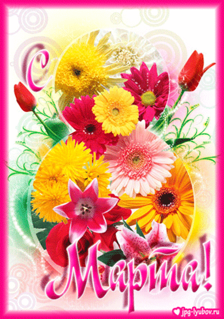 (4) Одноклассники