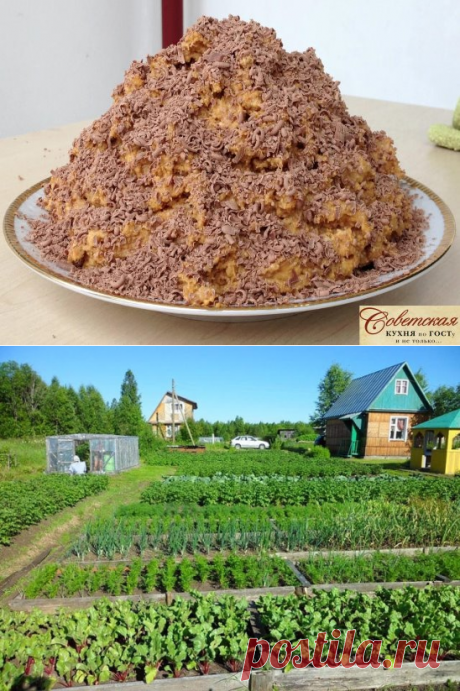 (13) Одноклассники