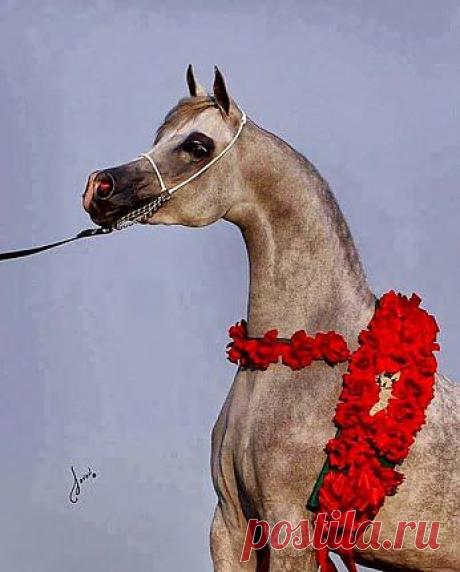 Однако, очень странный наряд!