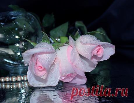 Дневник Галины Ф