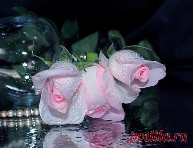 Дневник Галины Ф