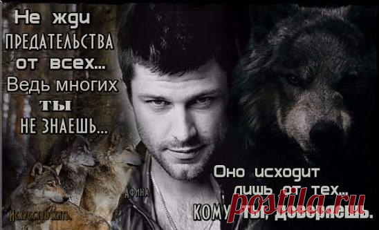 (7) КРАСИВЫЕ СТИХИ И ОТКРЫТКИ