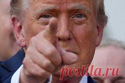 Трамп ответил на избиение Больших Яиц