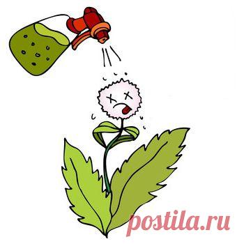 Средство "Лазурит" от сорняков – спасение картофеля -