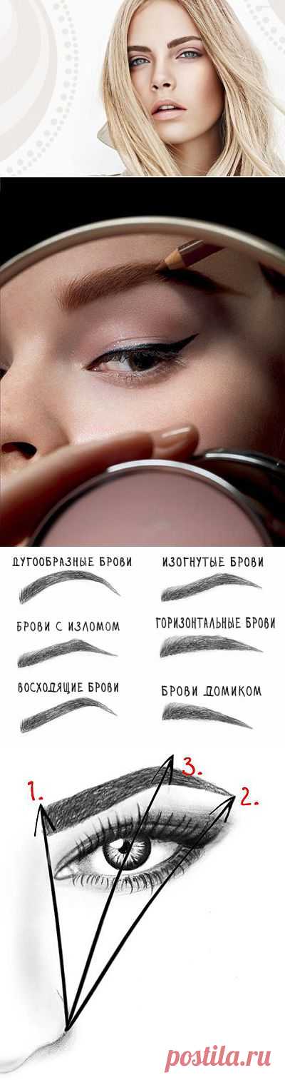 Уроки красоты: Брови и все о них