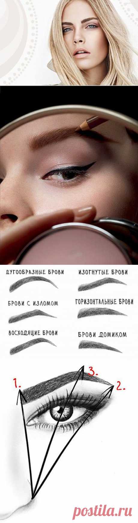 Уроки красоты: Брови и все о них