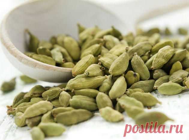 Кардамон - не просто пряность | Кладовочка советов