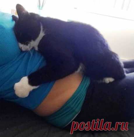 Кошка полюбила малыша еще до рождения, а теперь оберегает его: