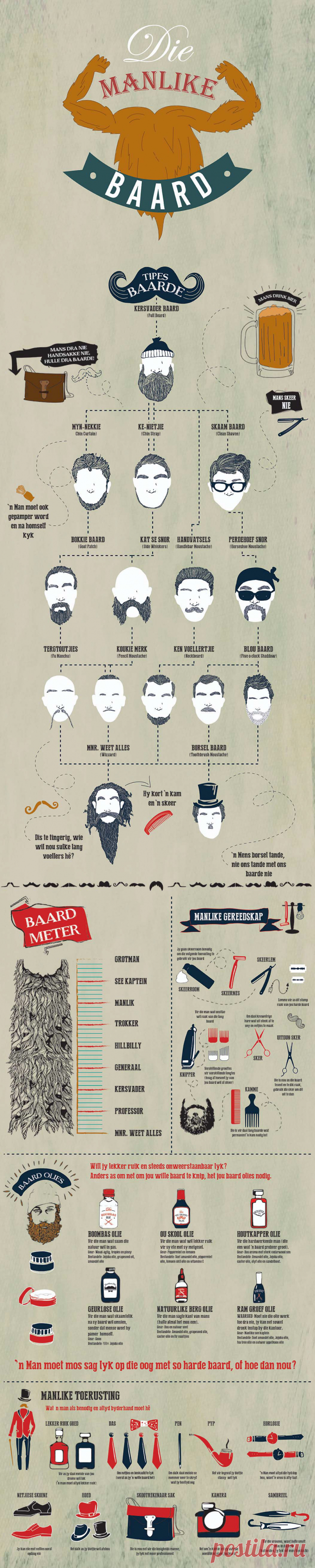 Beard Infographic - 