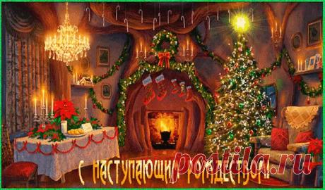 (75) Одноклассники