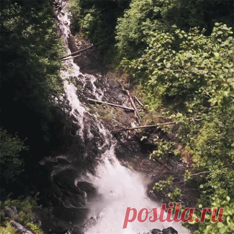 h-1307.jpg (480×479)