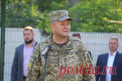 Главнокомандующий ВСУ увидел исключения в режиме прекращения огня в Донбассе. Главнокомандующий ВС Украины Валерий Залужный заявил, что украинская армия будет вести ответный огонь в Донбассе в том случае, если увидит «угрозу жизни и здоровью военнослужащих или гражданских». При этом он увидел позитивные стороны в новом соглашении между Украиной и самопровозглашенными республиками.