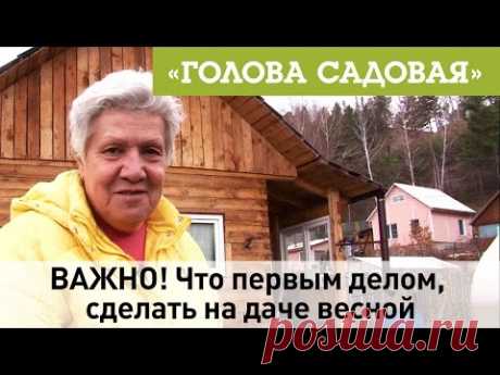 Голова садовая - ВАЖНО! Что первым делом, сделать на даче весной