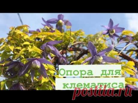 Опора для клематиса за 15 минут.. Красиво и легко ..
