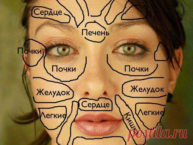 Китайская «карта лица» расскажет, что беспокоит ваш организм