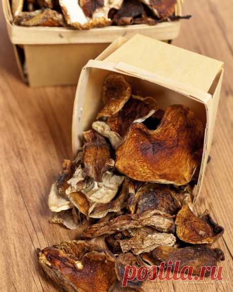 Как замочить сушёные грибы для супа и чем их посыпать, если есть сомнения в их происхождении — Психология