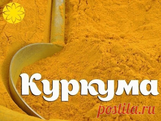 КУРКУМА — МОЩНЕЙШЕЕ СРЕДСТВО ДЛЯ ОМОЛОЖЕНИЯ
В одном из древних языков (санскрит) слова, относящиеся к куркуме, означают, что она способна «изгонять червей из тела», «улучшать цвет и внешнее строение тела», «кожа выглядит более чистой и ясной», «красив, как звездное небо».
Целебные свойства куркумы настолько сильны, что ее компоненты способны остановить развитие раковых опухолей даже на поздних стадиях болезни.
В куркуме содержится кальций, железо, фосфор и йод. Витамины: С, В1, В2, ВЗ.
Все о вос