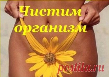 Все виды очищения организма в домашних условиях