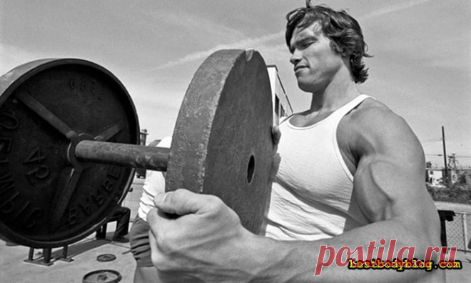 Грудь Арнольда. Рецепт создания | bestbodyblog.com