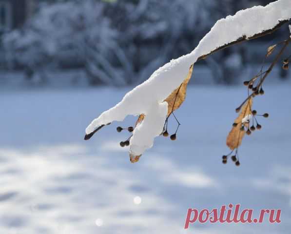 Кузня
Ольга Логачева (Кузовлева)