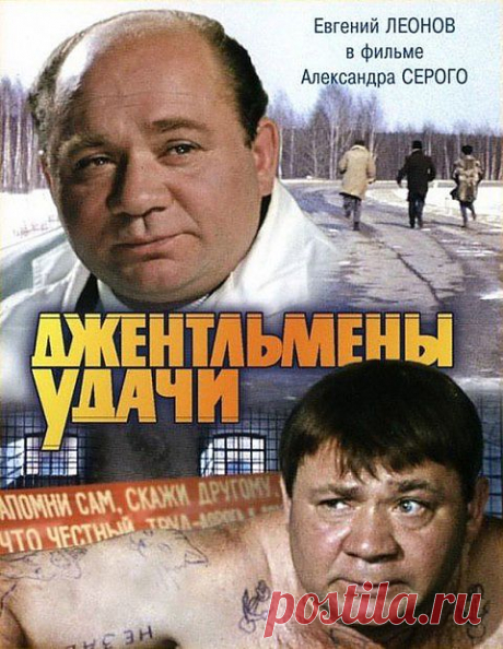 Интересные факты о “Джентльменах удачи” - &quot;ПолонСил.ру - социальная сеть здоровья&quot; - te9172355201@mail.ru - Почта Mail.Ru