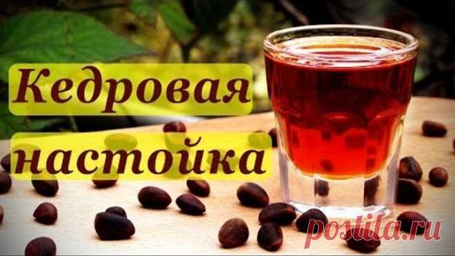Кедровка, рецепт настойки на кедровых орехах.