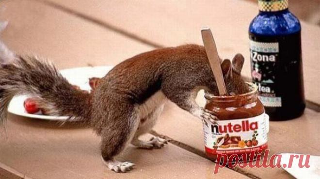 Нутелла домашняя.