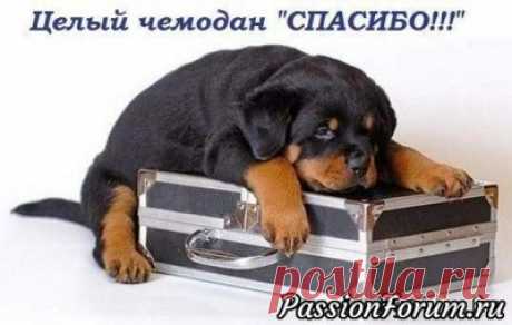 Азбука крючка. Часть 1