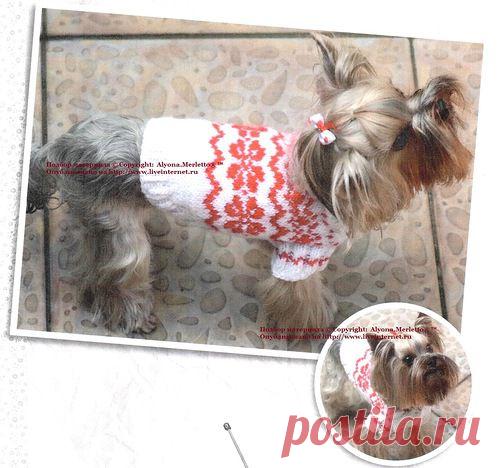 Одежда для домашних животных | Записи в рубрике Одежда для домашних животных | ЯРМАРКА_РУКОДЕЛИЯ