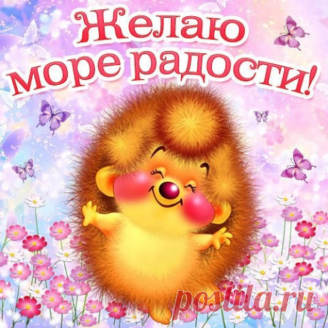 (2) Одноклассники