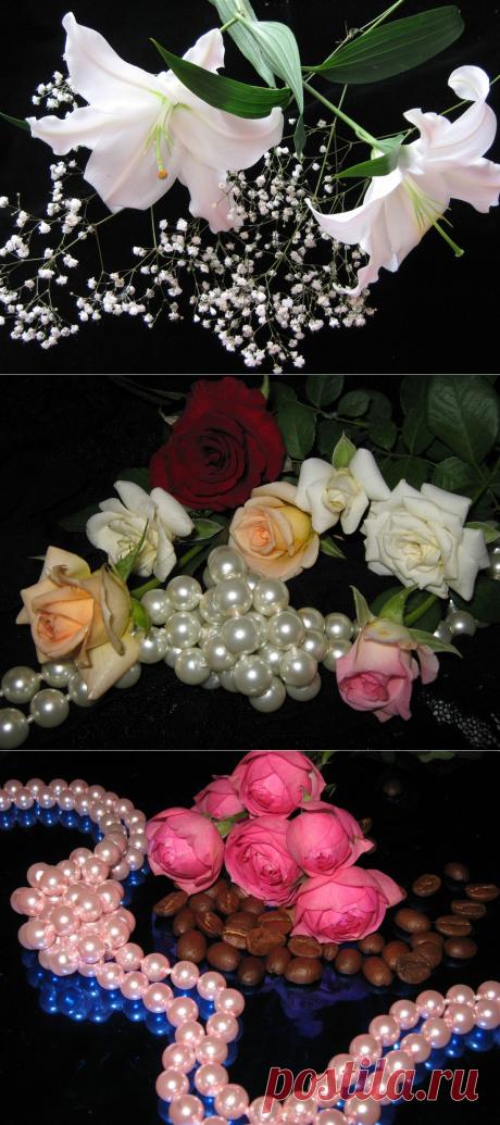 Цветочное великолепие от Darkness.