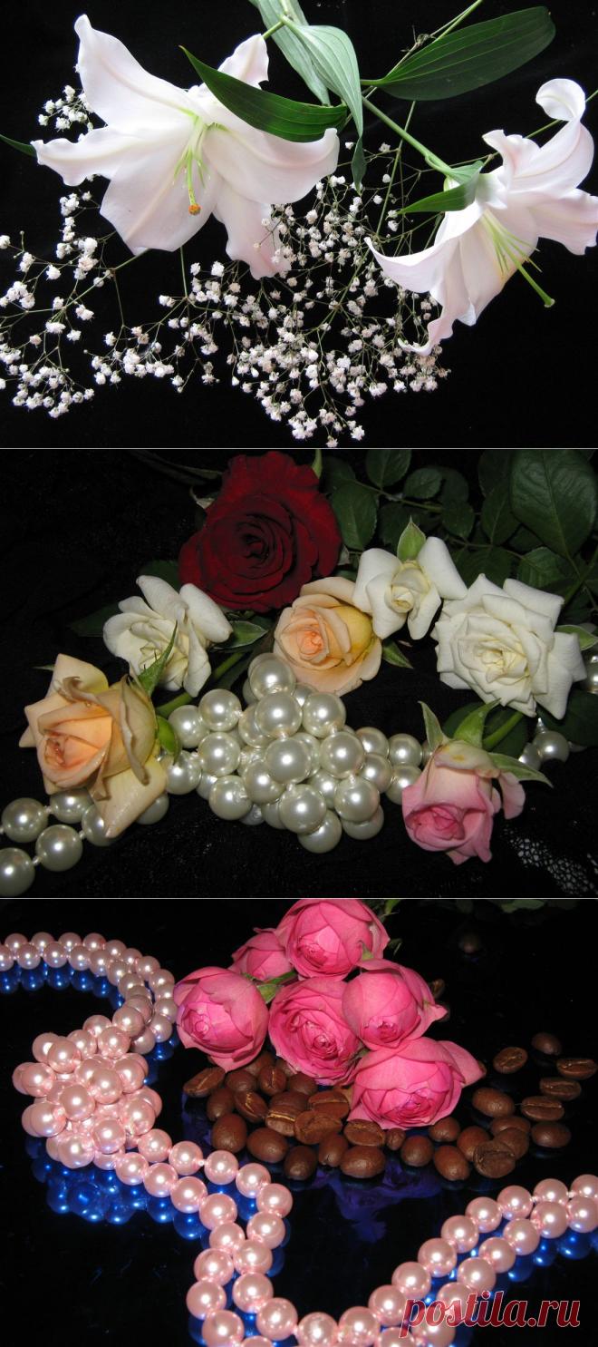 Цветочное великолепие от Darkness.