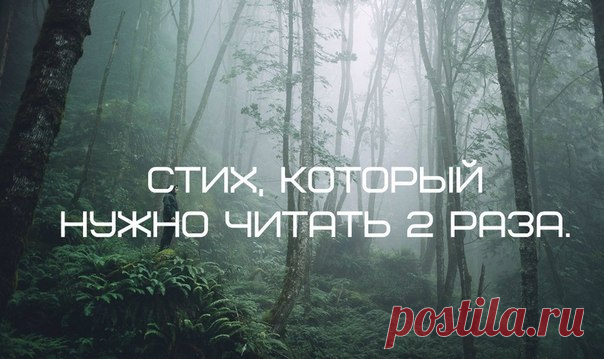 Потрясающий стих! Обязательно прочитайте его два раза. Почему именно два? Прочитайте первый раз и узнаете.