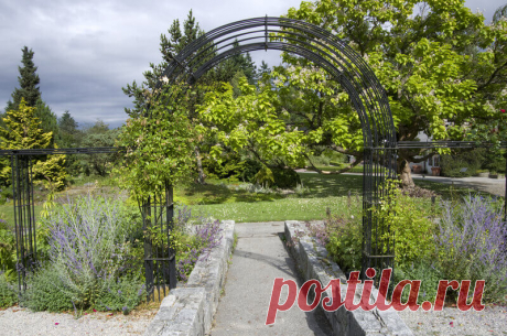 Landscaping Ideas: Backyard & Front Yard Decor (DESIGNS)