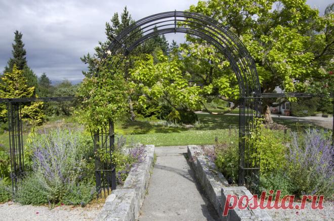 Landscaping Ideas: Backyard & Front Yard Decor (DESIGNS)