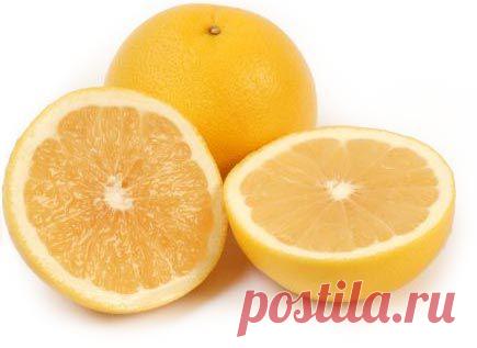 КАРТОШКА-ГАРМОШКА ✨ / Здоровый аппетит