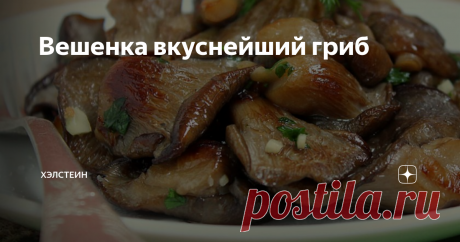 Вешенка вкуснейший гриб Я люблю грибы и часто их готовлю. Но вот однажды попробовал суп из вёшенок. Их характерный вкус и запах мне очень понравился, хотя он и не так ярко выражен, как у белых или маслят. Решил побольше узнать об устричном грибе (так еще называют вешенки).
Польза и вред
Вешенки чрезвычайно полезные. У них богатый химический состав: витамины А, В, D, PP, микроэлементы Zn, Na, Ca, Mg, P, F. Они очищают