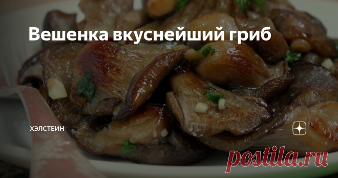 Вешенка вкуснейший гриб Я люблю грибы и часто их готовлю. Но вот однажды попробовал суп из вёшенок. Их характерный вкус и запах мне очень понравился, хотя он и не так ярко выражен, как у белых или маслят. Решил побольше узнать об устричном грибе (так еще называют вешенки).
Польза и вред
Вешенки чрезвычайно полезные. У них богатый химический состав: витамины А, В, D, PP, микроэлементы Zn, Na, Ca, Mg, P, F. Они очищают