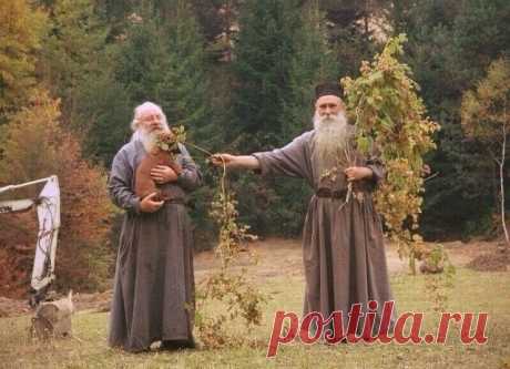 🏻ЭТИ СОВЕТЫ ЗНАХАРЕЙ НУЖНО ЗНАТЬ
