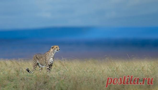 J Uriarte (uriarte) Profile / 500px