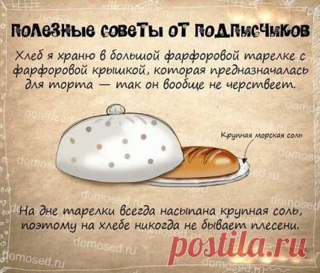 Супер полезные советы - Болтай