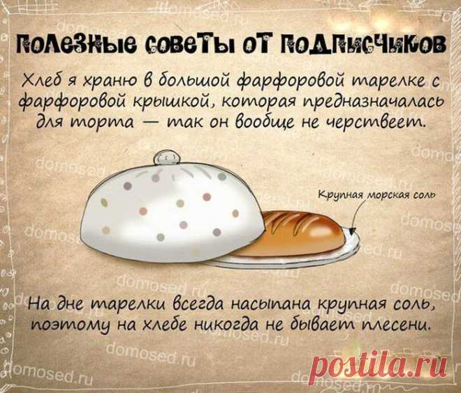 Супер полезные советы - Болтай