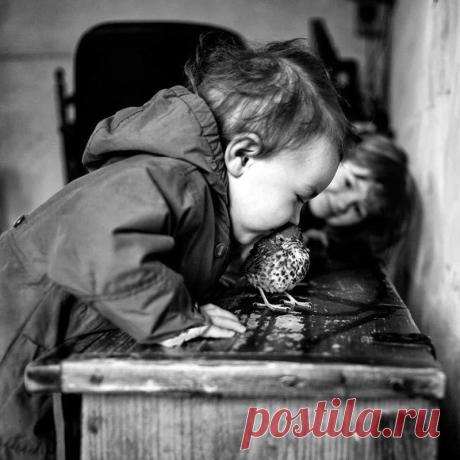 Одна из самых вредоносных формул в воспитании
